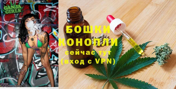 прущий лед Абаза