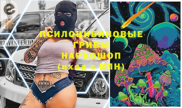 прущий лед Абаза
