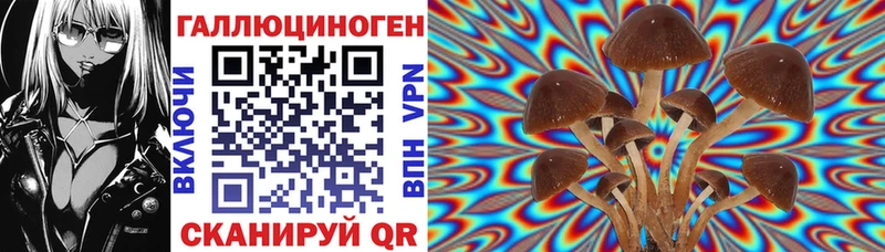 Псилоцибиновые грибы Psilocybine cubensis  сколько стоит  Трубчевск 