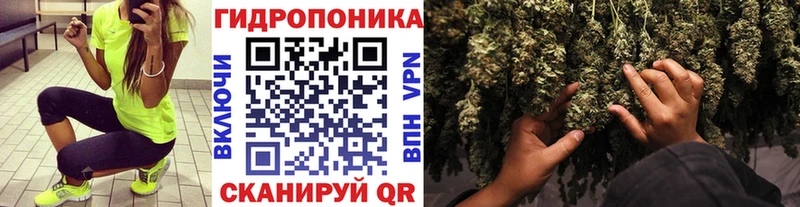 Шишки марихуана конопля  цены наркотик  Трубчевск 